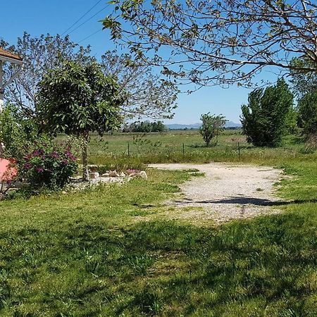 Petite maison refaite à neuf dans mas du 19ème siècle Arles Extérieur photo