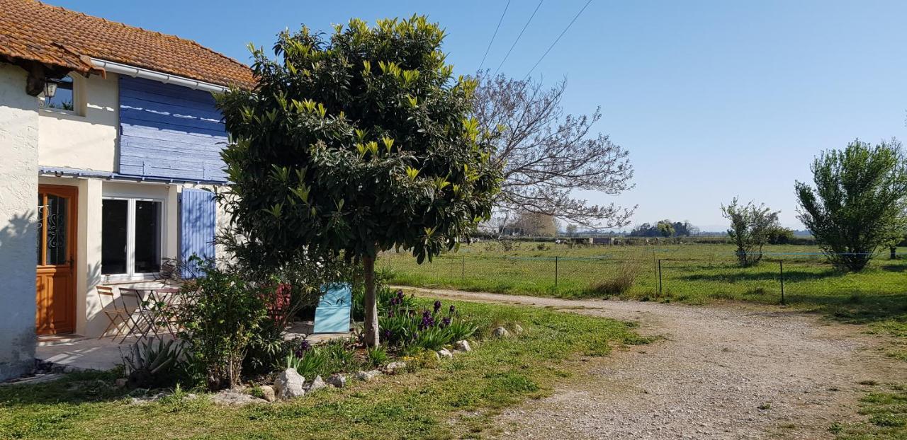 Petite maison refaite à neuf dans mas du 19ème siècle Arles Extérieur photo