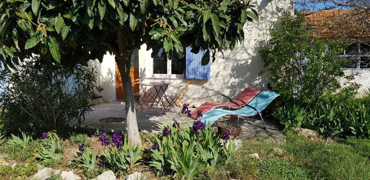 Petite maison refaite à neuf dans mas du 19ème siècle Arles Extérieur photo