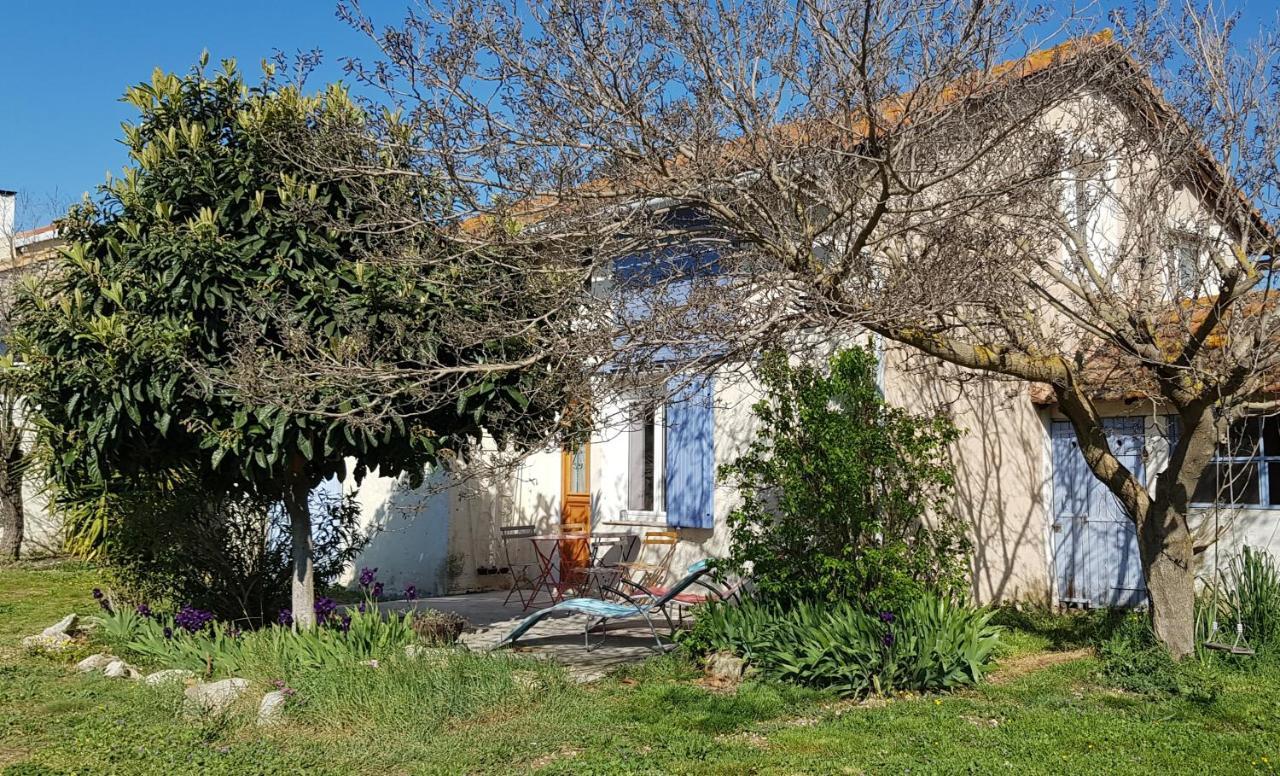 Petite maison refaite à neuf dans mas du 19ème siècle Arles Extérieur photo