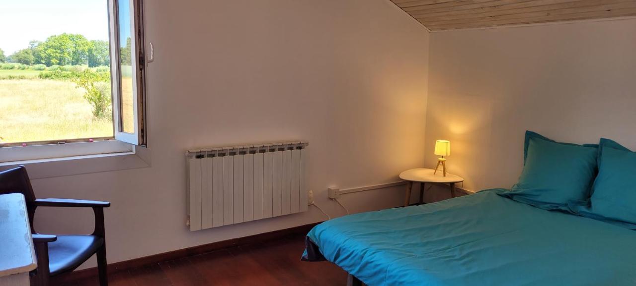 Petite maison refaite à neuf dans mas du 19ème siècle Arles Extérieur photo